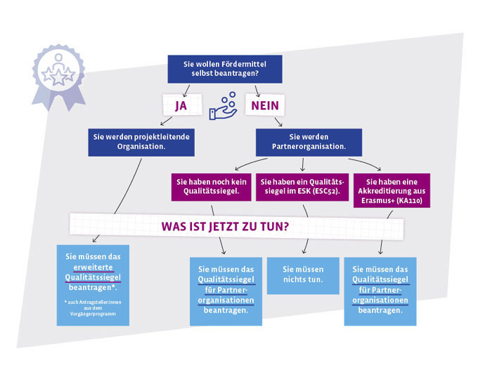 Fließdiagramm zum Qualitätssiegel im Europäischen Solidaritätskorps