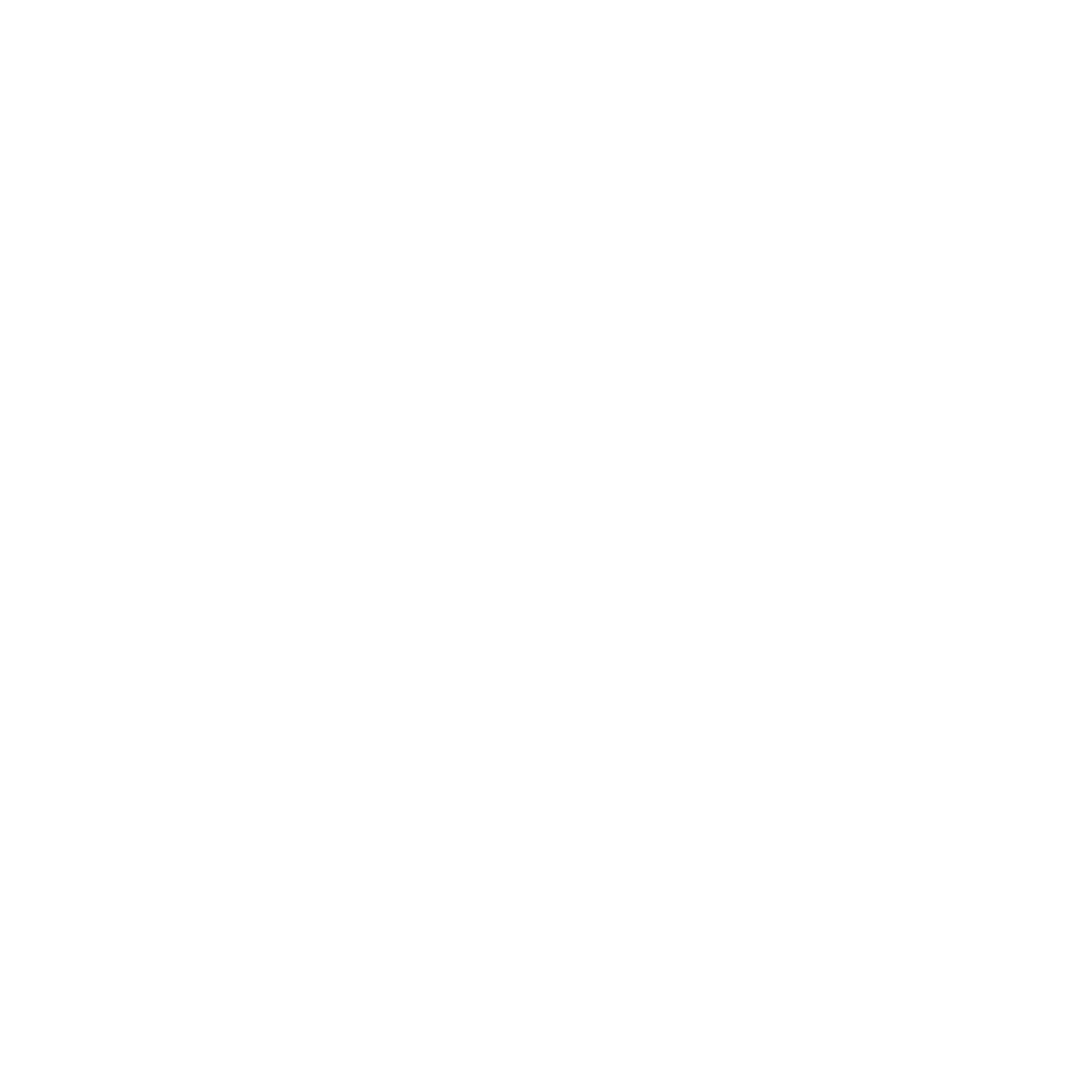 instagramm logo weiss